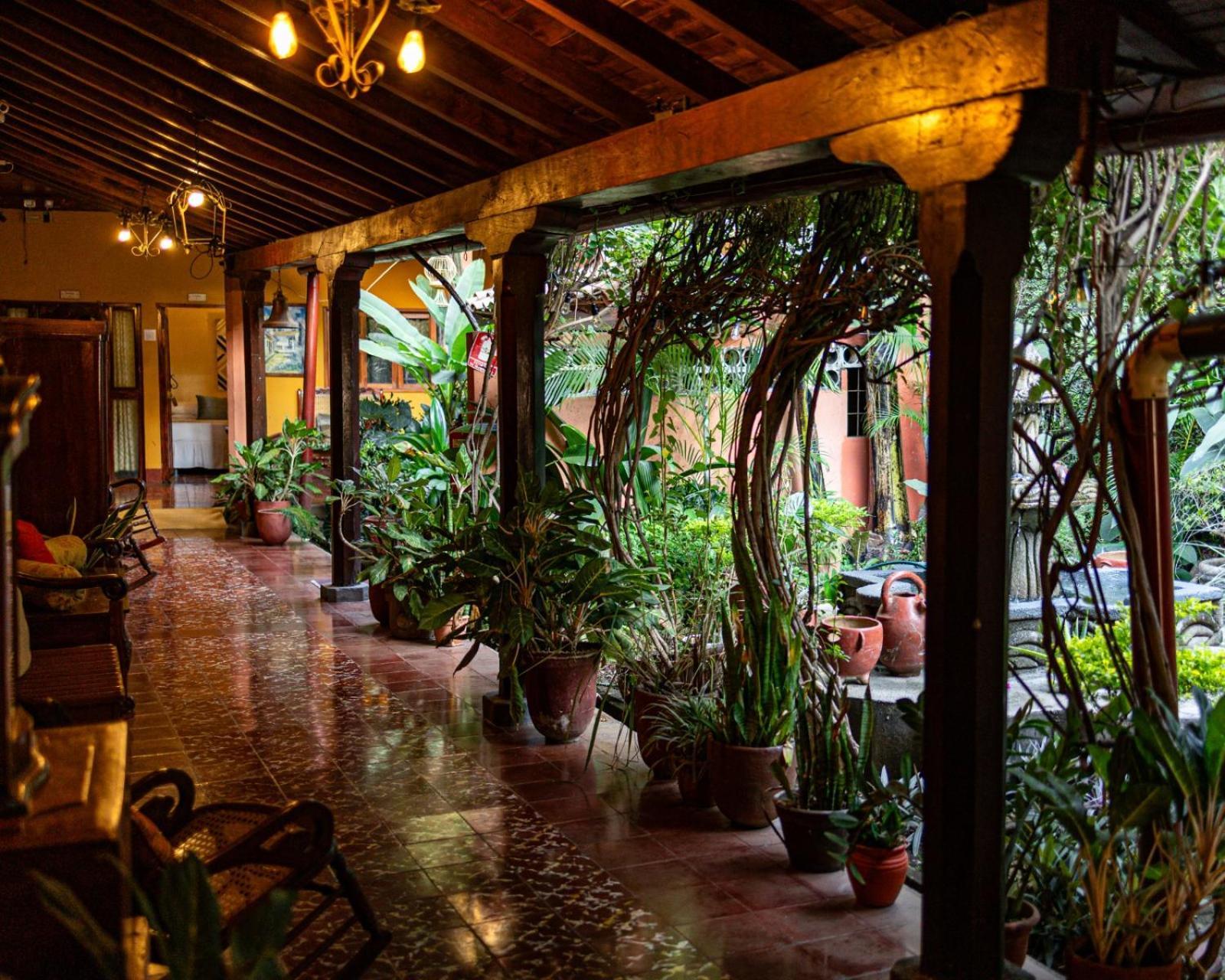 Hostal Fuente Castalia, B Y B León Exteriér fotografie